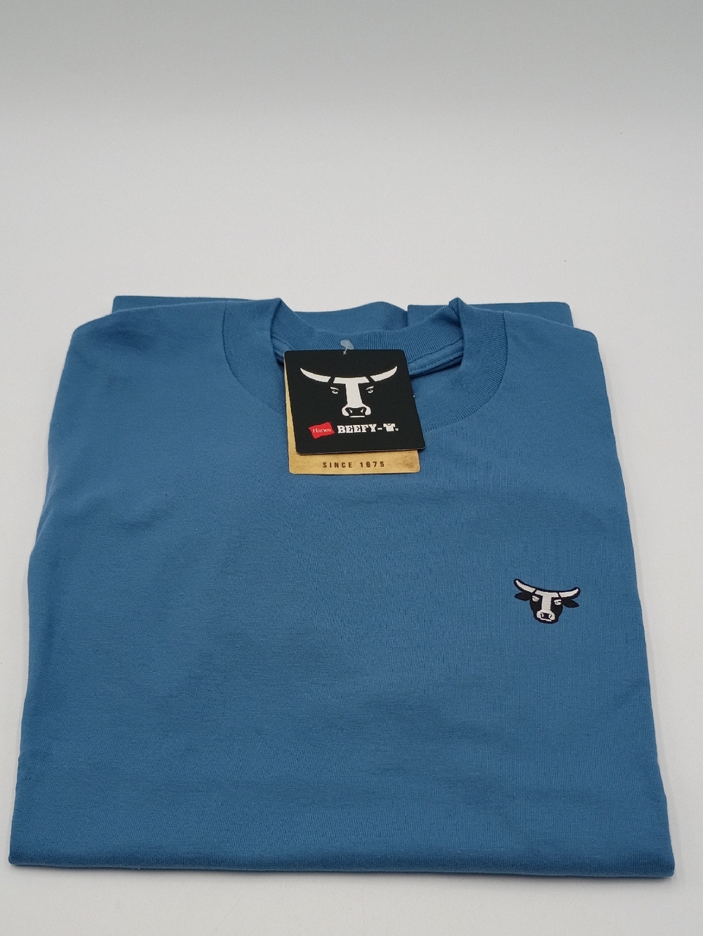 Hanes Men's Beefy -T. T-shirt Blue Size Small